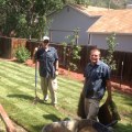 Designing A Dream Garden: How A Landscaper And Landscape Architect In Pembroke Pines Can Help