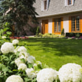 Enhance Your Curb Appeal: Tree Stump Grinding For Your Front Yard Landscape In Groveland