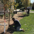 Landscape Architects and the Value of Professional Installation Support