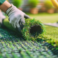 Why Do Landscape Architects In Winter Garden Recommend Artificial Grass Installation In Homes?
