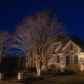 Seamless Design: Integrating Low Voltage Lighting After Working With An Austin Landscape Architect