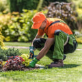 Why Professional Lawn Service Is Essential After A Landscape Architect’s Work In Orange Park, FL