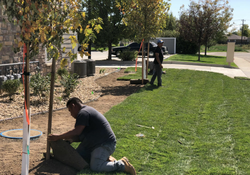 Landscape Architects and the Value of Professional Installation Support