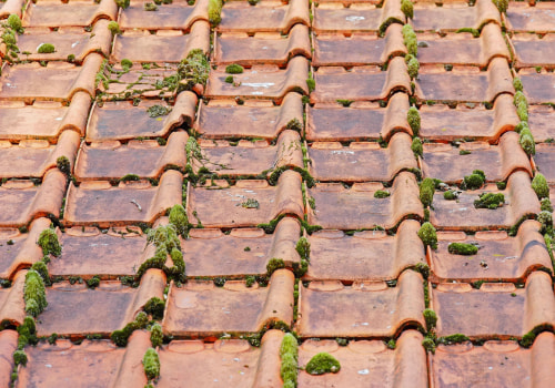 Enhance Your Home with Landscape Architecture and Roof Repair in Sterling Heights, MI