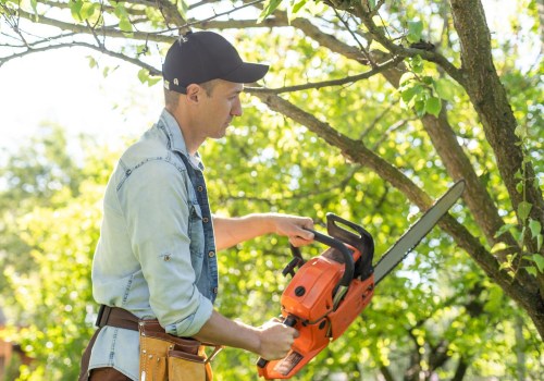 Sculpting Nature: The Importance Of Tree Pruning And Trimming For Landscape Architects In Groveland, MA