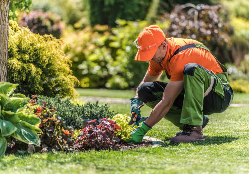 Why Professional Lawn Service Is Essential After A Landscape Architect’s Work In Orange Park, FL